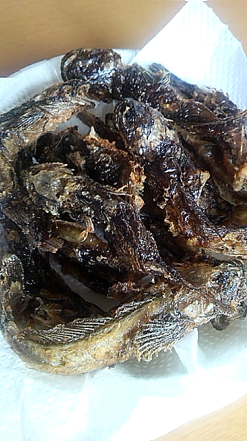 d0225575_238181.jpg