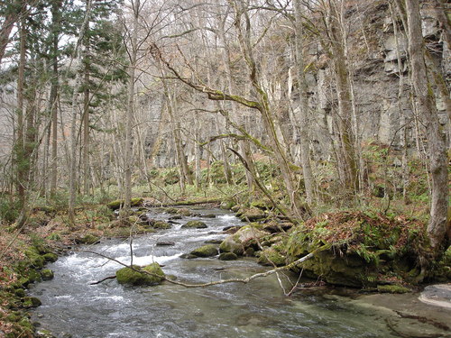 d0165378_10402264.jpg
