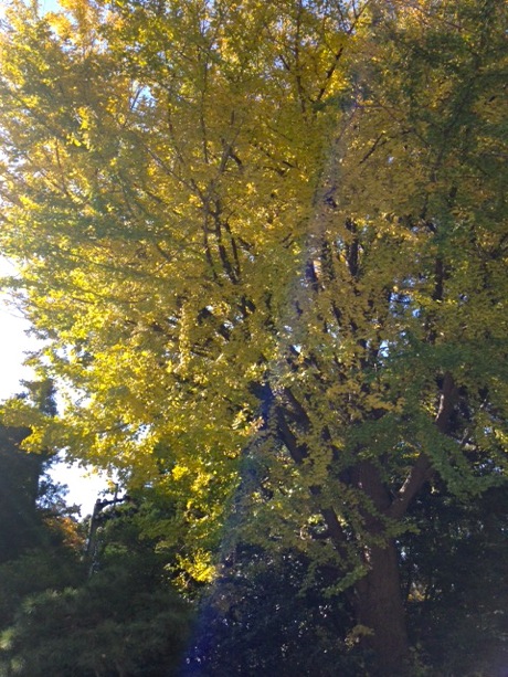 a0228480_175043100.jpg