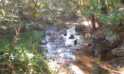 c0069380_12341572.jpg