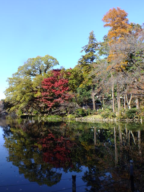 e0145782_1547665.jpg