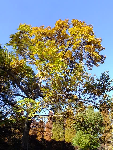 e0145782_15563712.jpg