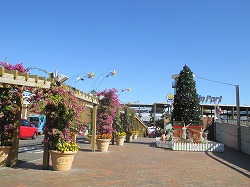 a0142083_22232845.jpg