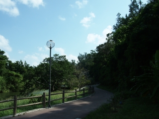 d0240983_21502624.jpg