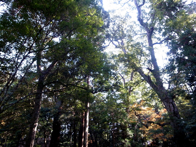 c0188784_21332132.jpg