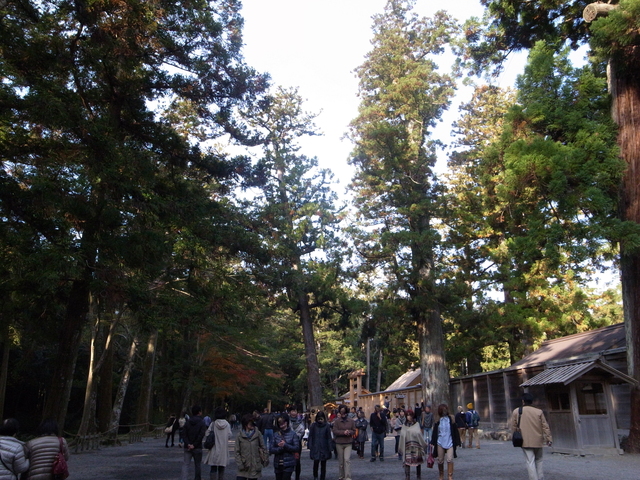 c0188784_757556.jpg