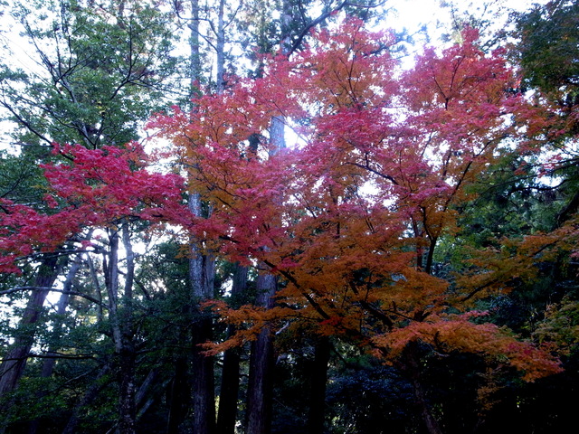 c0188784_8111960.jpg