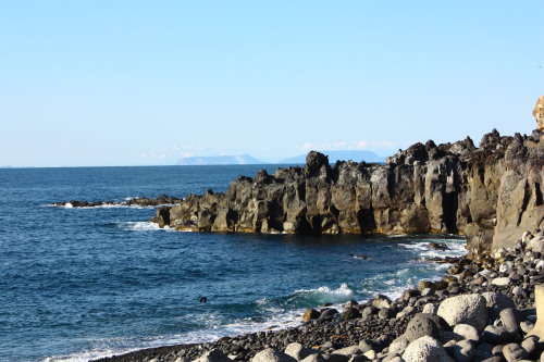 c0204385_11351651.jpg
