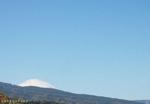 e0211786_15395956.jpg
