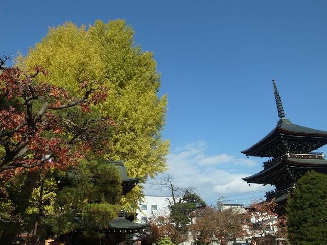 e0271890_16525275.jpg