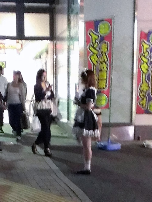 c0001491_14131048.jpg