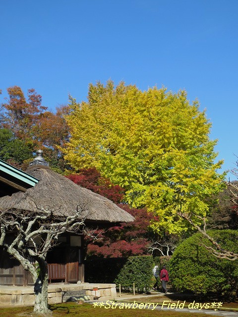 c0087094_1637658.jpg