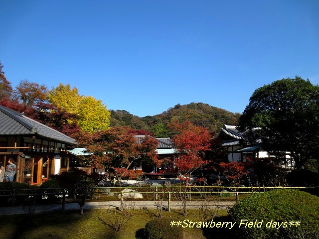 c0087094_16575230.jpg