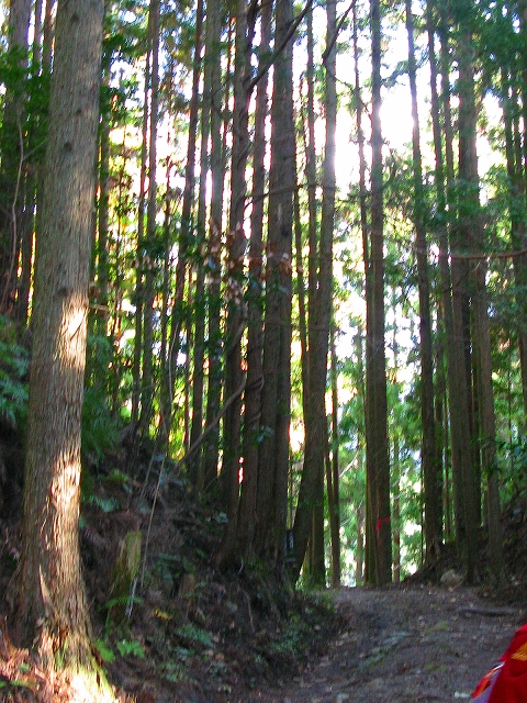 f0181394_22391730.jpg
