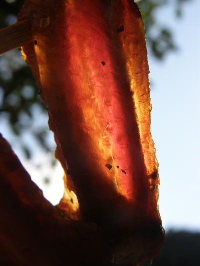 e0017396_21323978.jpg