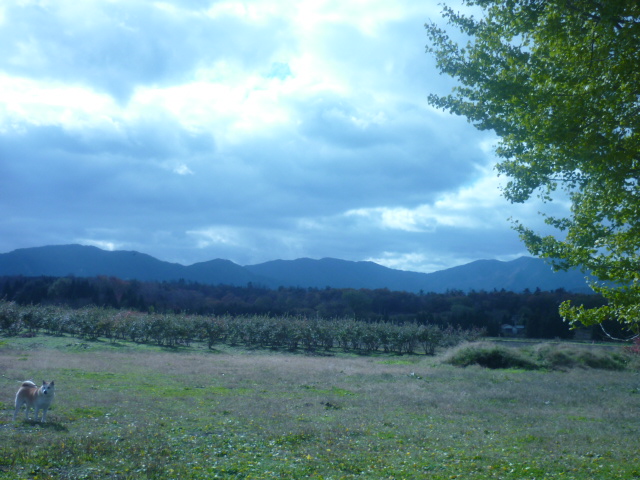 e0326699_15383076.jpg