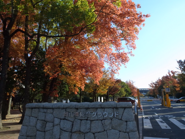 f0197703_11223081.jpg