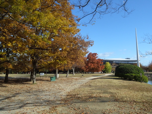 f0197703_11354128.jpg