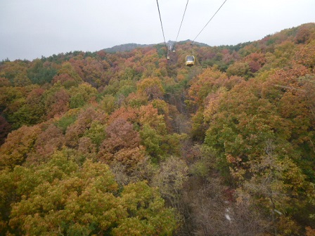 a0140305_162031.jpg