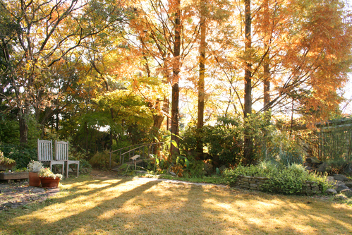 a0139007_1332351.jpg