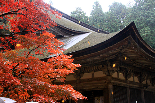 b0014607_1816165.jpg