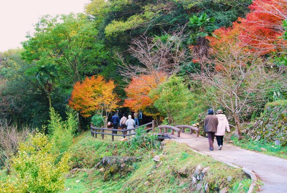 b0273309_1158339.jpg