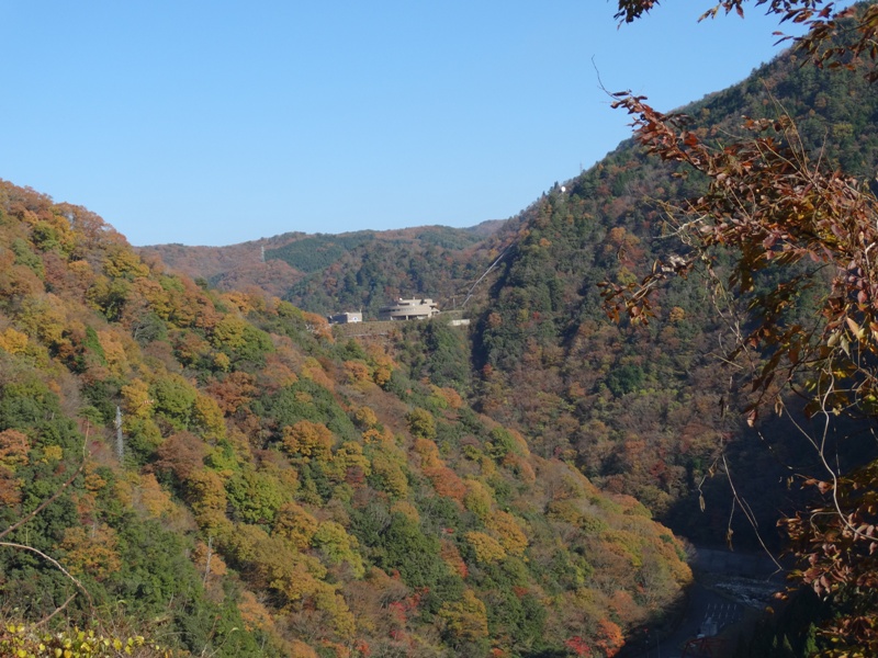 c0042418_8512584.jpg