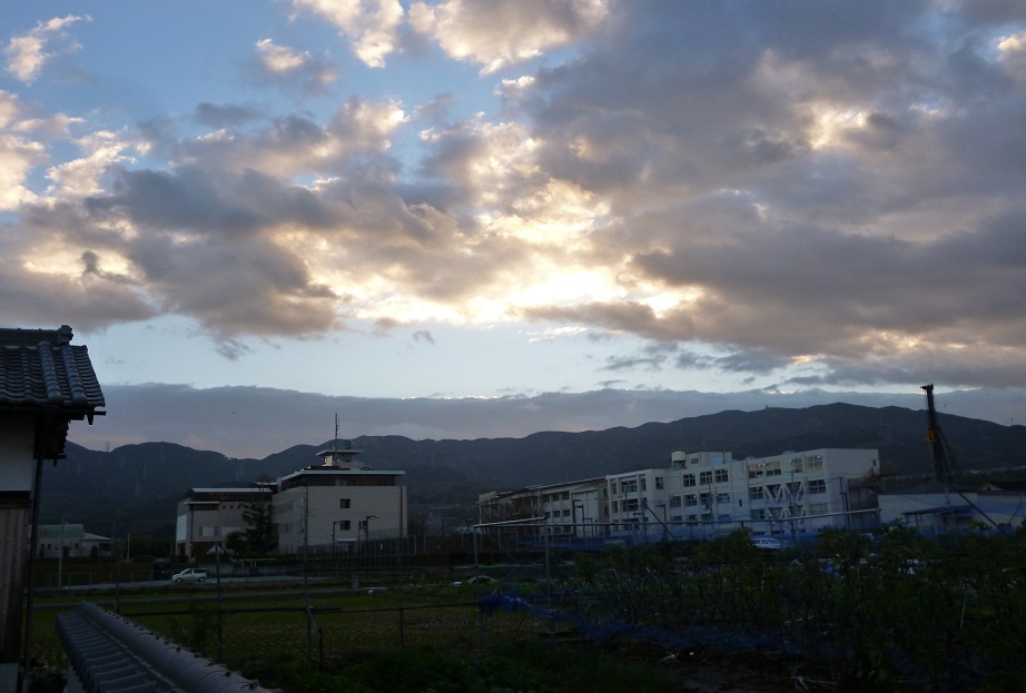f0228619_9565415.jpg