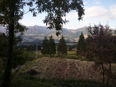 f0031420_2225539.jpg