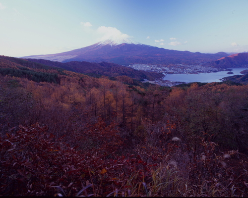 d0240223_5235864.jpg
