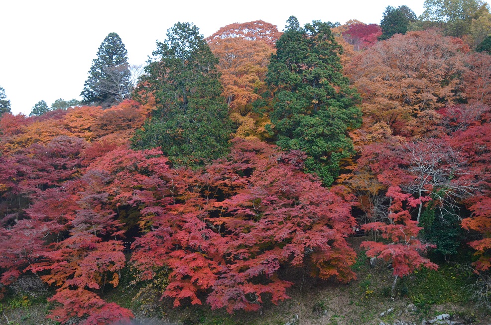 f0124830_891989.jpg