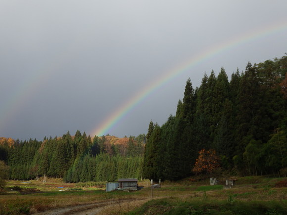 f0118332_21244327.jpg