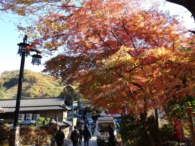 f0238932_1639149.jpg
