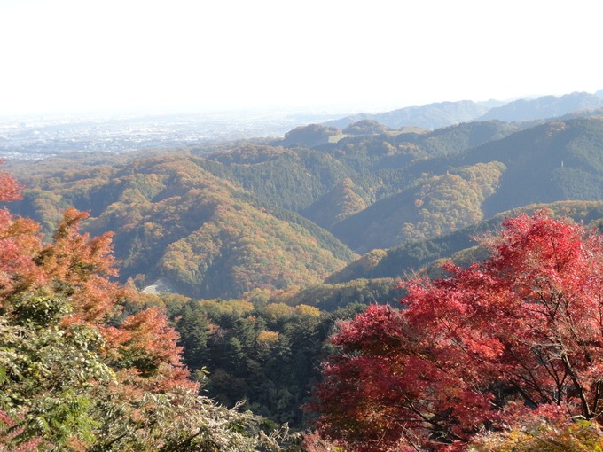 f0238932_16393645.jpg