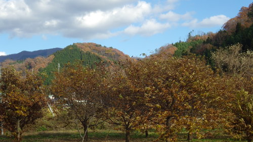 c0300035_18351192.jpg