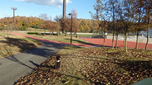 c0300035_20402374.jpg