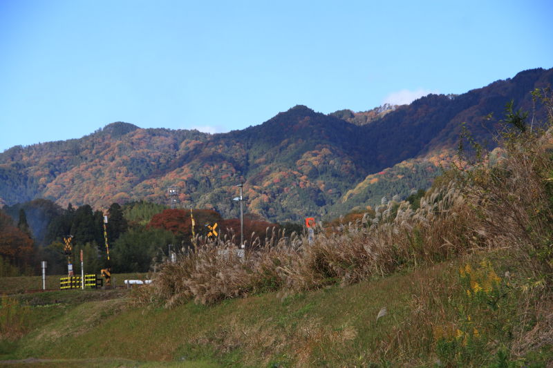 d0226336_052330.jpg
