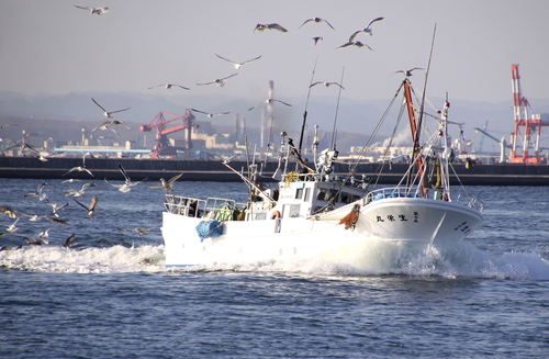 f0113639_1754531.jpg