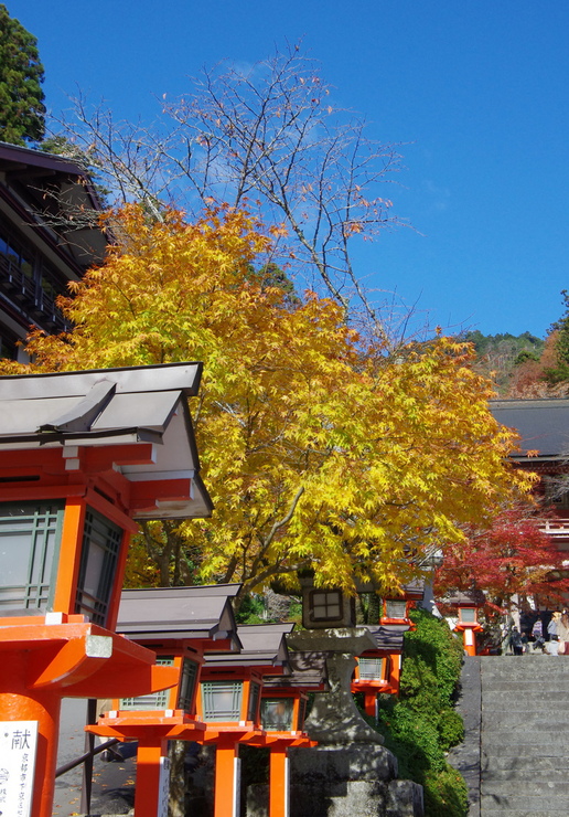 b0242140_1064083.jpg