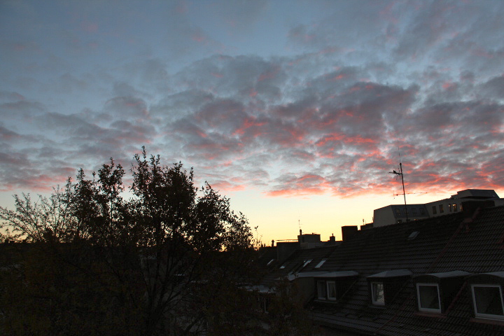 c0153740_216458.jpg
