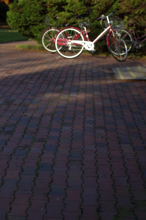 d0165741_1728431.jpg