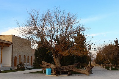 d0195041_4381310.jpg