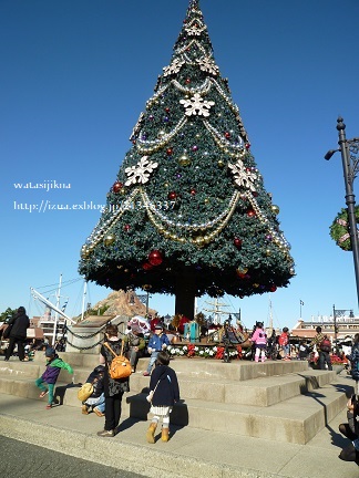 e0214646_8571076.jpg