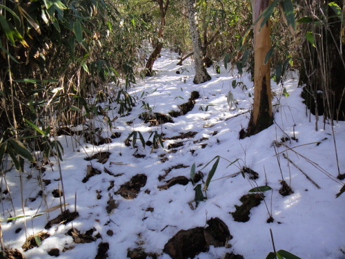 c0179351_202345100.jpg