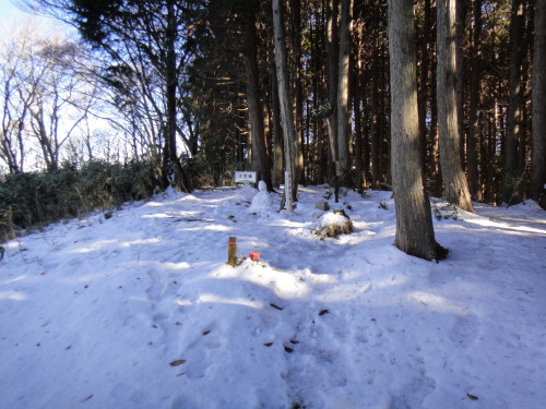 c0179351_20245897.jpg