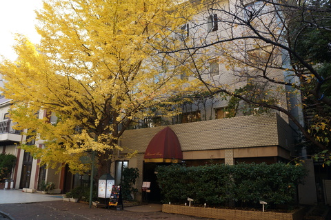 c0206352_16385421.jpg