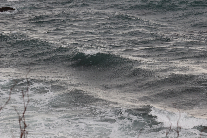 b0250154_6451578.jpg