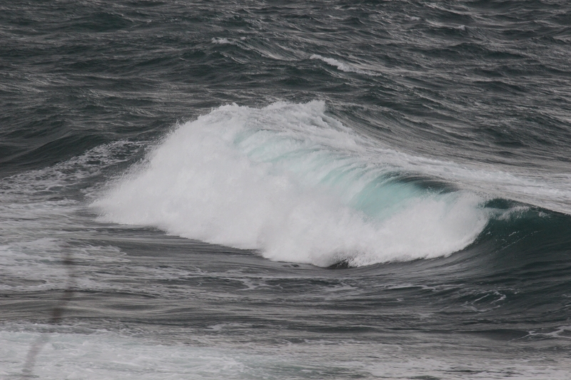 b0250154_6463237.jpg