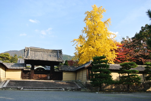 f0233356_224112.jpg