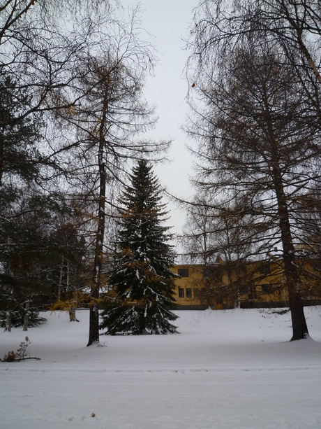 e0111359_16211143.jpg